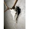 Red Deer Trophy Wall Mount – Adjustable Metal Holder for Large Trophies