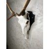 Wall-Mounted Deer Trophy Holder – Adjustable Steel Bracket