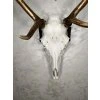 Red Deer Trophy Wall Mount – Adjustable Metal Holder for Large Trophies