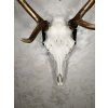 Wall-Mounted Deer Trophy Holder – Adjustable Steel Bracket