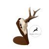 Cut Skull Trophy Stand – Metal Stand for Roe Deer Trophy