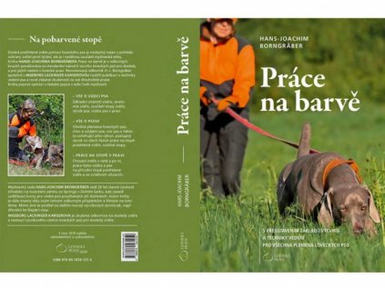 Práce na barvě (H.-J. Borngräber)