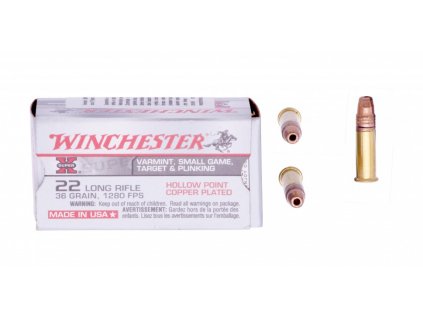 22lr winchester HP