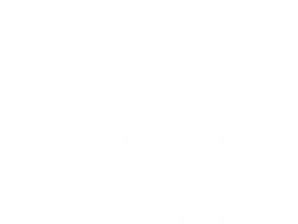 Střela Barnes, TSX, .375/ .375", 300GR (19,4g), TSX