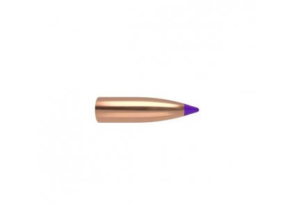 Střela Nosler, Varmint, 6mm, 55GR (3,5g), Ballistic Tip Lead Free