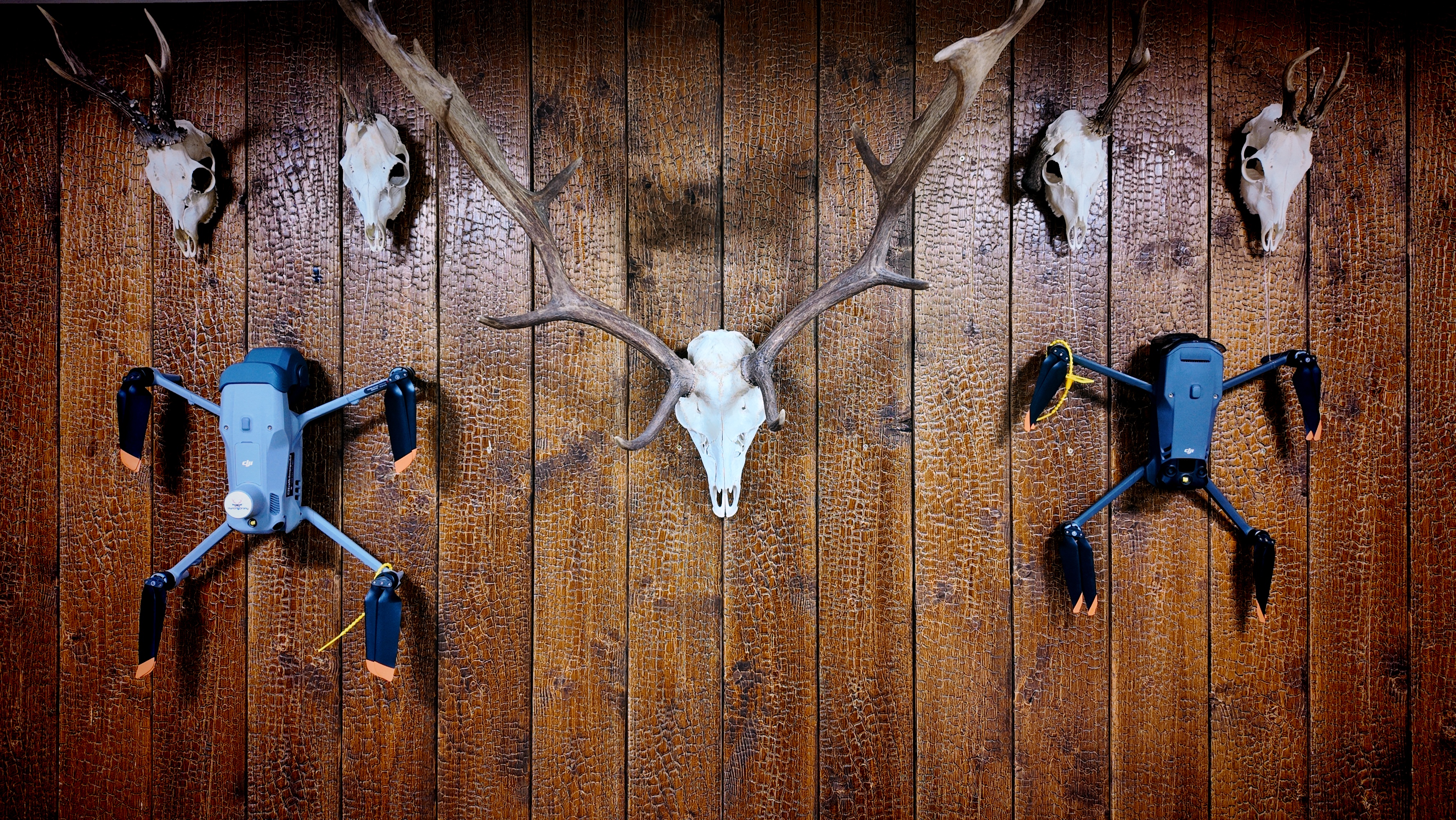 IMG_20250625_180509_1