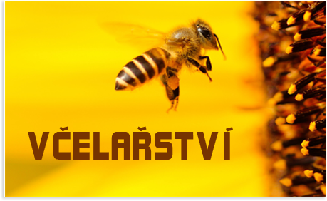 Včelařství