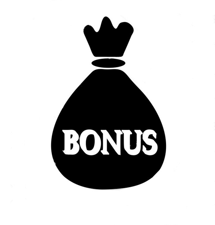 Bonusový systém
