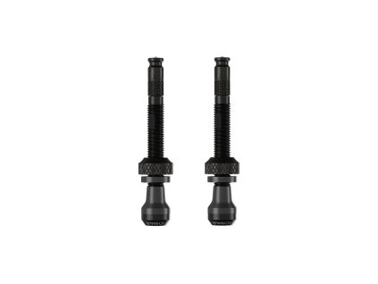 Schwalbe ventilek Tubeless SCV sada 2ks 60 mm