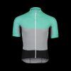 POC ESSENTIAL ROAD LIGHT JERSEY, fluorite green/alloy grey