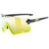 UVEX SPORTSTYLE 228