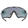 UVEX SPORTSTYLE 228