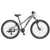 GT STOMPER 24" PRIME SLV