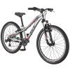 GT STOMPER 24" PRIME SLV