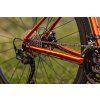 PELLS Raw 2 Orange