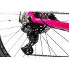 PELLS Thorr 1 W Magenta coral
