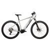 PELLS Thorr 1 Silver