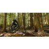 NORCO Fluid FS 3 Blue/Silver 29