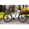 Rock Machine eRokk B70T / Matte Limerock Grey