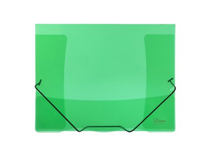 Sloha s gumou priehľadná Lines zelená