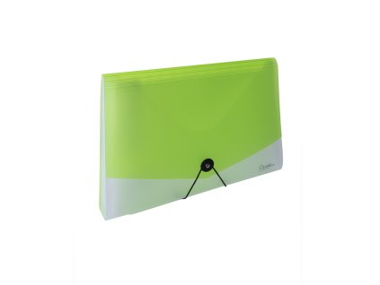 Organizér na dokumenty s gumou A4 Opaline číra-zelená 13kapes