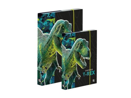 Box A4+A5 Premium Dinosaurus