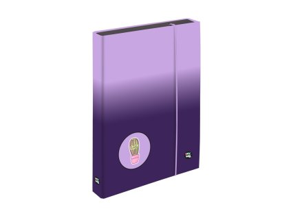 Box na zošity A4 Jumbo OXY NEXT Ombre Purple