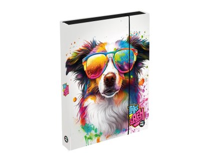 Box na zošity A4 Jumbo Pes