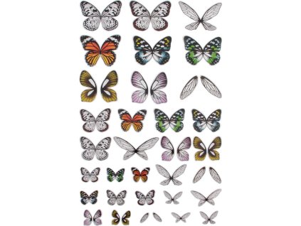 Tim Holtz - TRANSPARENT WING - průhledná křídla
