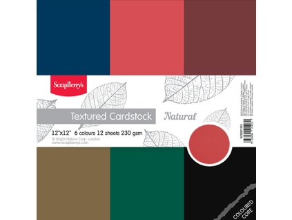 SCB201303 ScrapBerry 180 s 12x12 Textured Cardstock Natural