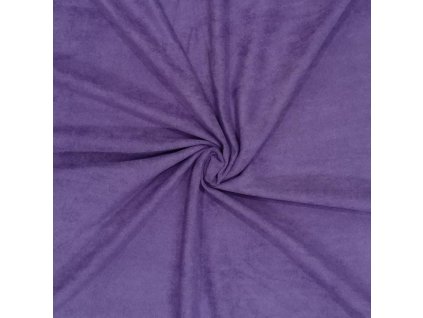 antelina violeta