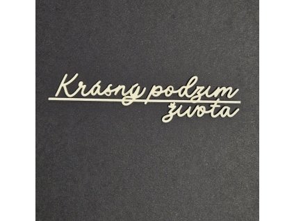 20251128 194914 resized