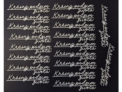 20251129 144949 resized