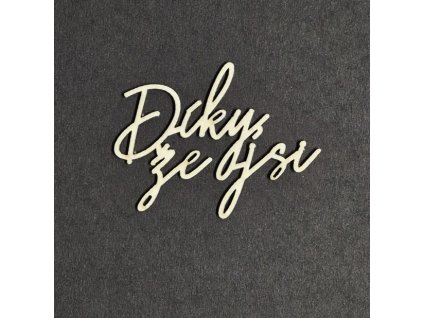 20251218 230103 resized