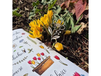 DÁREK do všech objednávek :-) ... platí 8. a 9. března