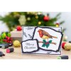 crafters companion christmas robin clear stamps cc