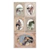 stamperia romantic horses 6x12 inch passper pack sbb