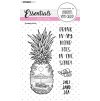 studio light pineapple beach essentials clear stam