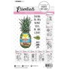 studio light pineapple beach essegntials clear stam