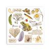stamperia all around rub on 155x155cm assortmsent 6