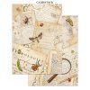 stamperia all around junk journal stickers backcgro