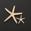 ChatGPT Image 9. 6. 2026 21 12 18