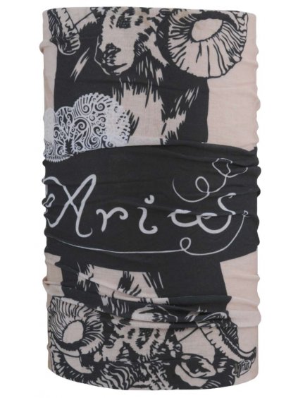 aries5