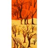 Namib Naukluft scarf