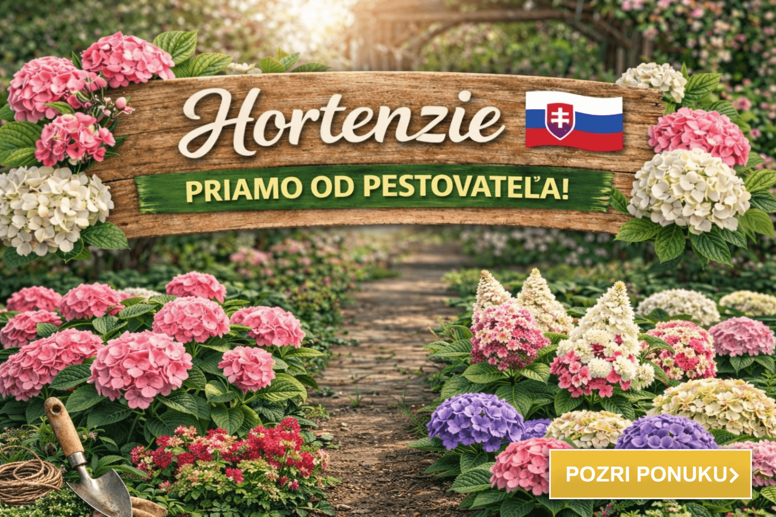 Hortenzie