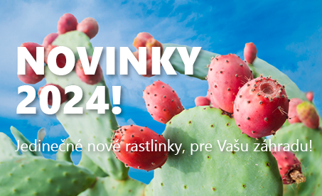 Novinky 2024