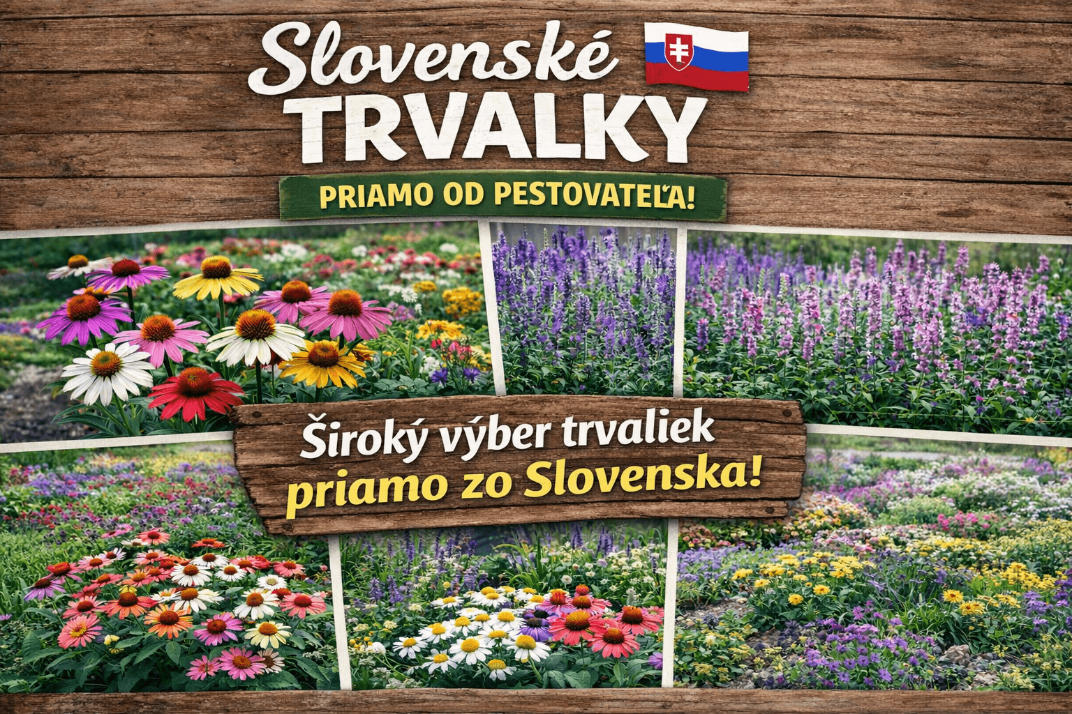 Trvalky