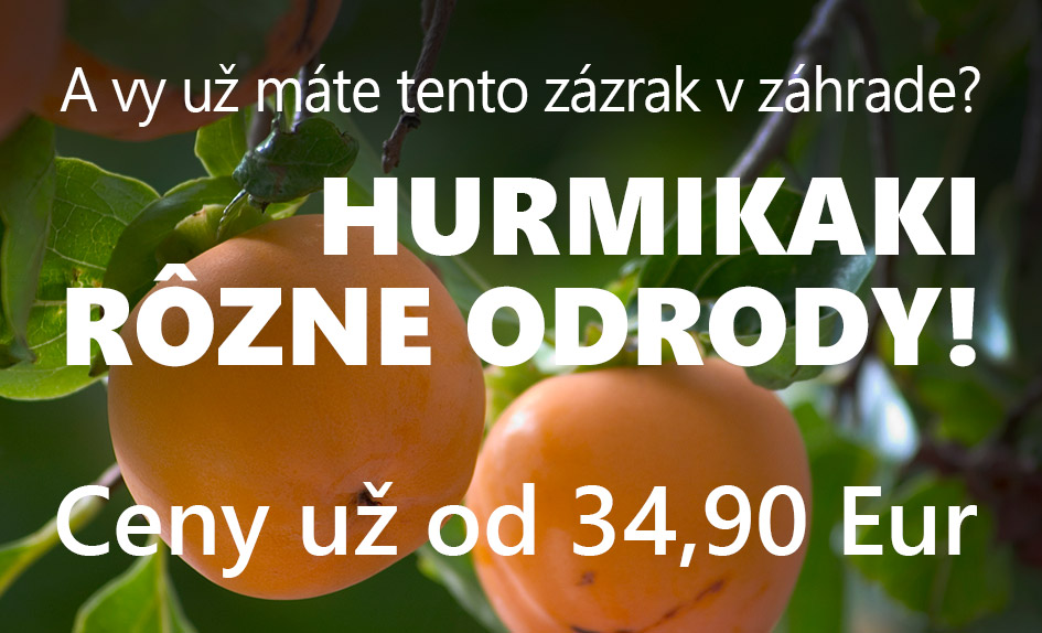 Hurmikaki