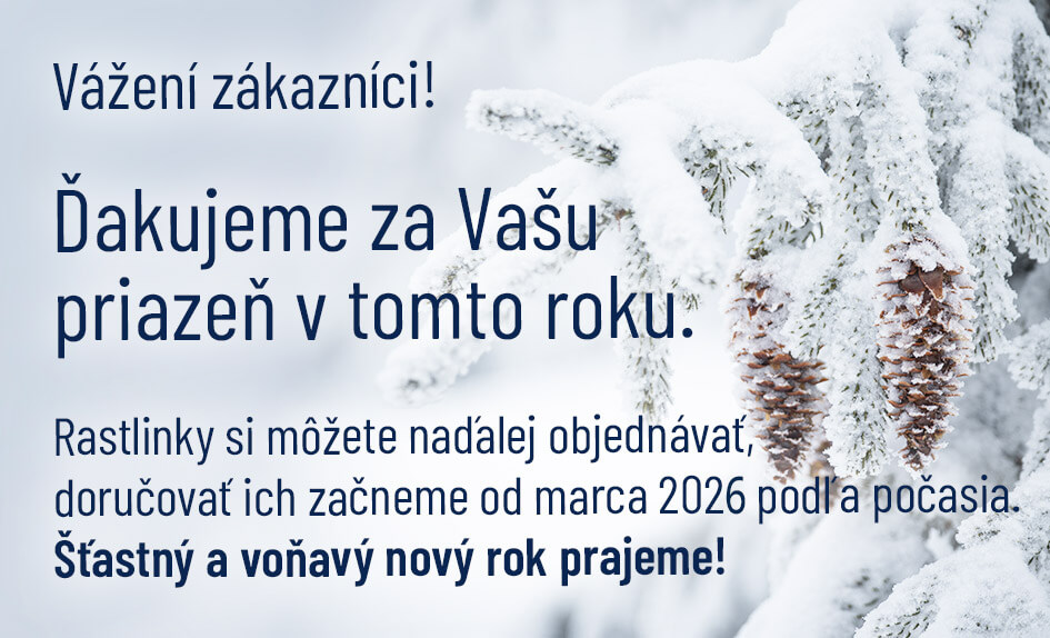 ukoncenie roku 2025