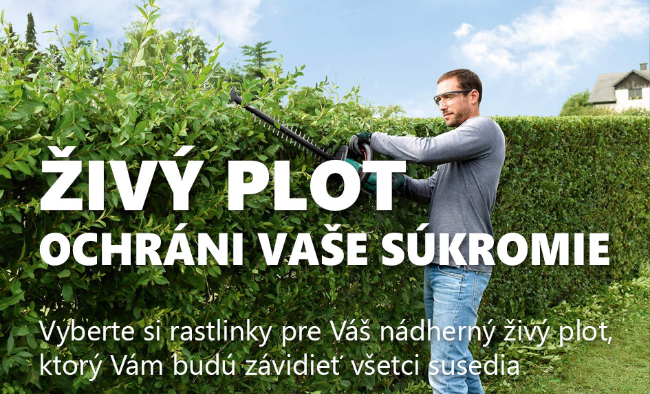 Živé ploty na hurmikaki.com